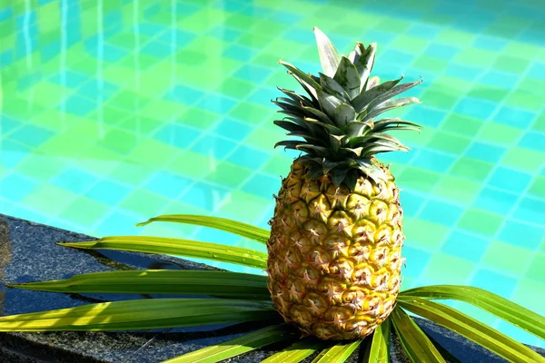 De ananas in het bestuur van het autdoor zwembad. een tropisch fruit voor het ontbijt — Stockfoto