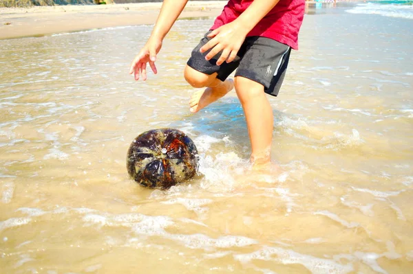 Seorang anak bermain di laut. Nikmati liburan di daerah tropis . — Stok Foto