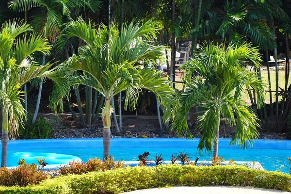 Lugar da água em Park. Parque aquático na selva. Parque do mar. Coloque sob palmeiras. Acampamento de luxo em trópicos. resort à beira-mar . — Fotografia de Stock