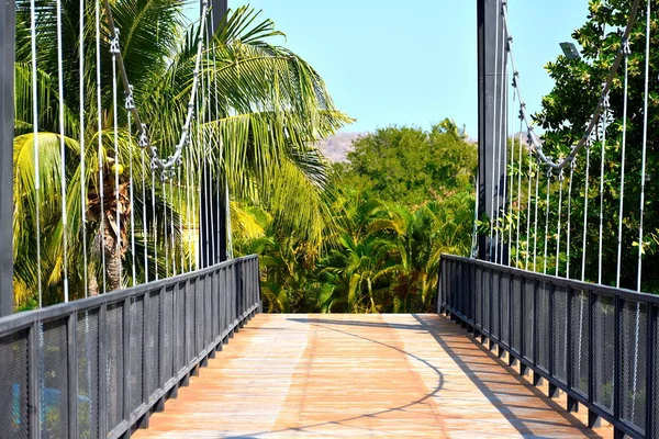 Waterplaats in Park. Waterpark in de jungle. Park van de zee. Plaats onder palmbomen. Luxe kamperen in tropen. badplaats. — Stockfoto