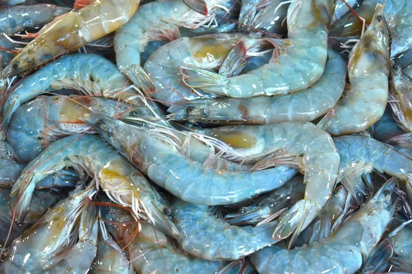 Venda de camarão marinho. frutos do mar no balcão — Fotografia de Stock