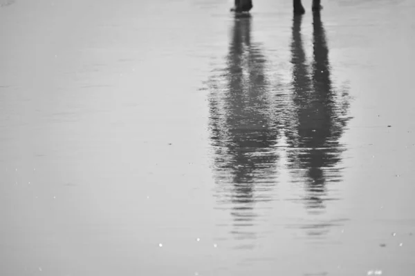 Foto monocromatica. Lo sfondo cupo e piovoso. Ombra bagnata sul pavimento — Foto Stock