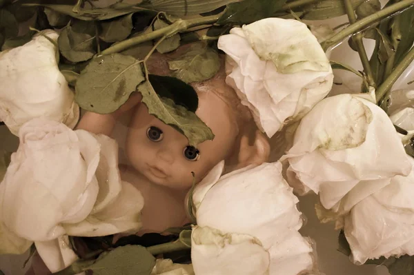 The flowers and the doll in the water. A sad childhood. The roses drama. Artistic photos with flowers. — Stok fotoğraf