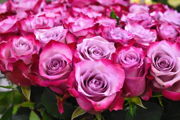 Flores para mujeres. Venta de flores en la tienda . — Foto de Stock