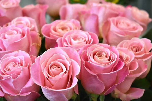 Flores para mujeres. Venta de flores en la tienda . — Foto de Stock