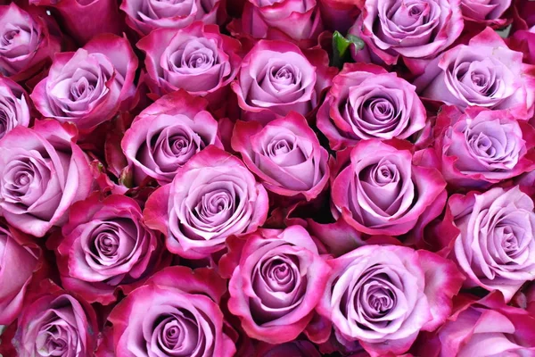 Flowers for women. Selling flowers in the shop. — Stock Photo, Image