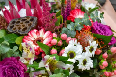 Güzel çiçek arkaplanı. Renkli çiçekler.