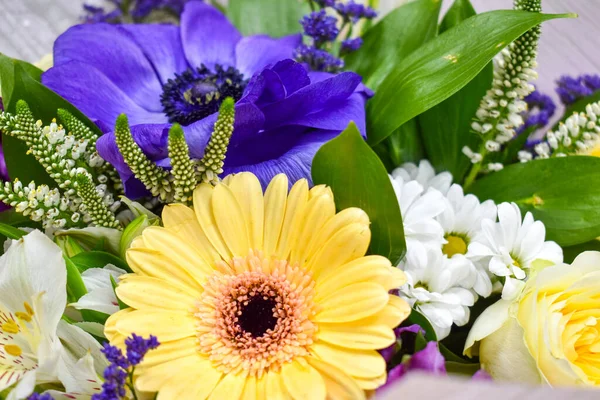Hermoso fondo de flores. Flores florecientes coloridas — Foto de Stock