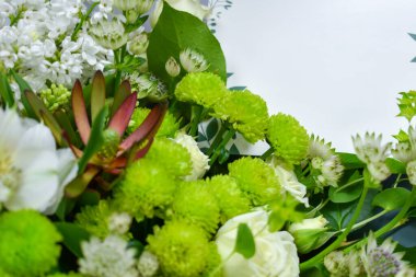 Doğal yeşil çiçek buketi. Çiçekli tebrik kartı