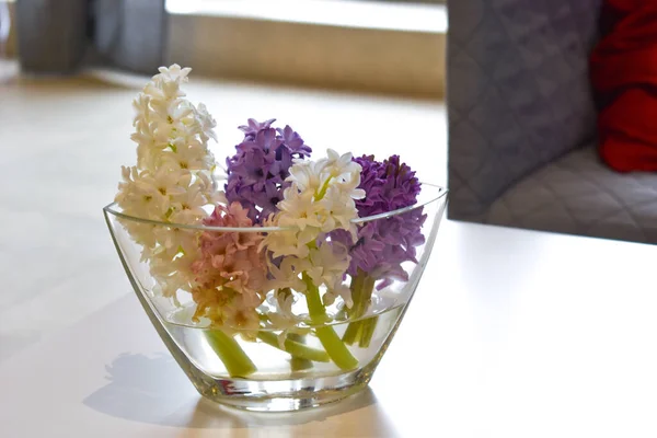 Jacintos en la mesa de madera. Flores en el interior de la casa — Foto de Stock