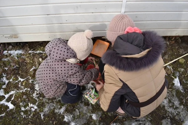 Dos hermanas llenan el gato de comida al aire libre. El problema del hambre gatos sin hogar —  Fotos de Stock