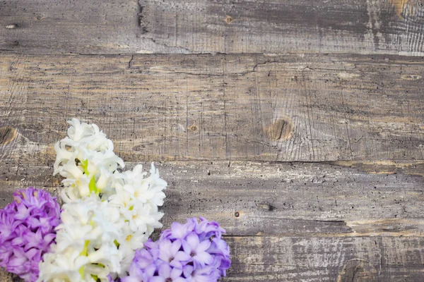 Flowers for Easter. Hyacinths on the table. Flowers in the interior