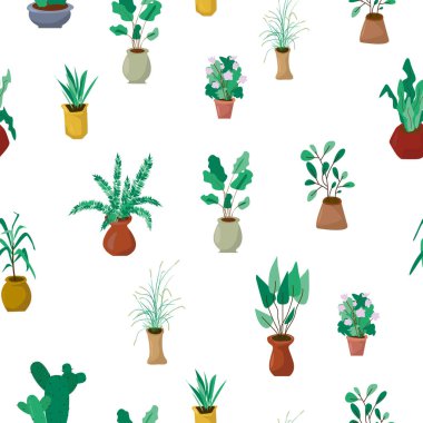 Çiçekçi geçmişi. Yeşil saksı çiçekli düz kartpostal.