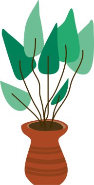 Bitkilerle ilgilenmek. Ev çiçeği. Boyalı yeşil bitki