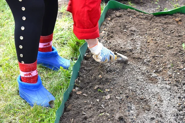 Trädgårdsmästare gräver i marken. Skötsel av grönsaksodlingar. Plantering av grödan i området — Stockfoto