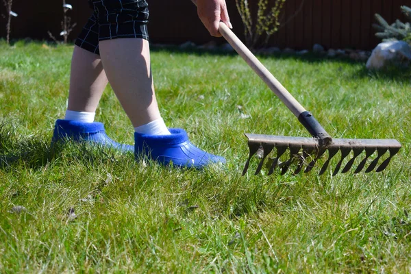 Prendre soin des plantes. Travailler dans le jardin. Agriculture — Photo