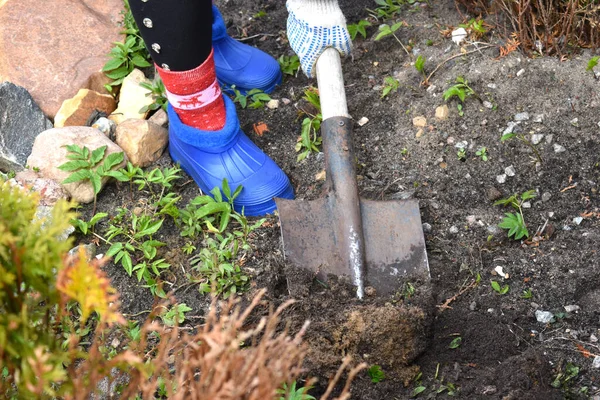 Trädgårdsmästaren utomhus. Trädgårdsodling utanför. Kvinna med trädgårdsredskap — Stockfoto