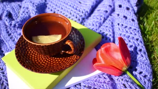 Un día alegre en el jardín con té y un libro. hermosa vida feliz en el verano — Vídeo de stock