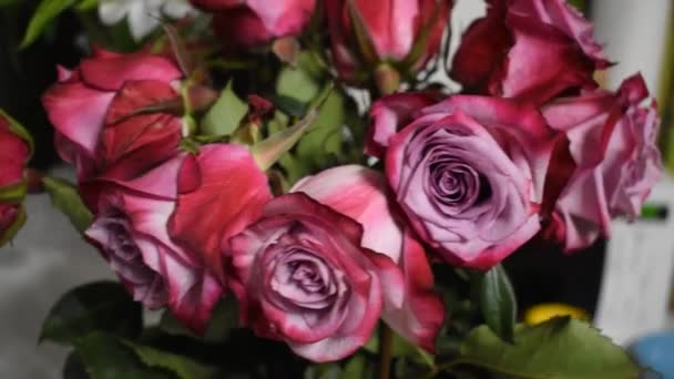 Blomsterne i vasen var visnet og visnet. Lilac rose tippet knopper – Stock-video