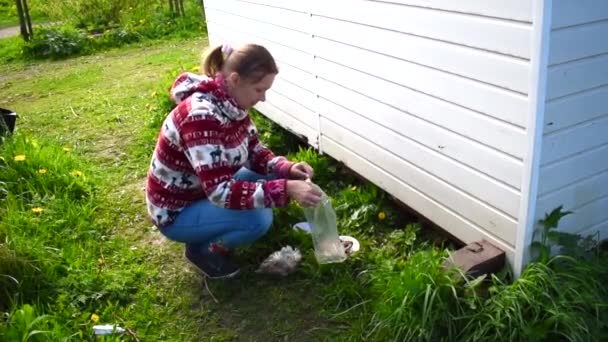 Una mujer vierte alimentar a los gatos callejeros. Los animales se esconden bajo el cobertizo — Vídeo de stock