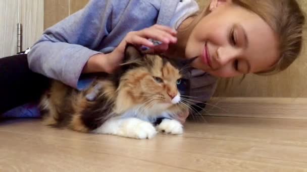 Precioso gato mascota en el suelo con la chica. Un niño con una mascota — Vídeos de Stock