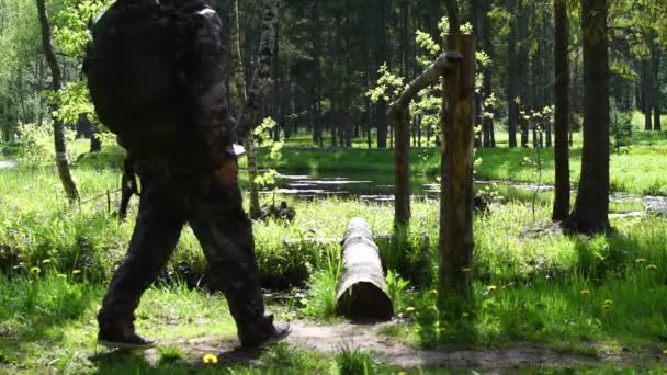 Vrouw in toeristische kleding reist alleen in de zomer bos. houten logboek brug. — Stockvideo