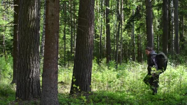 Női túrázó sétál a nyári erdőben. Egészséges séta a fák között — Stock videók