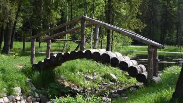 Puente de madera sobre un pequeño río en el bosque en verano. Hermoso bosque con un estanque . — Vídeos de Stock