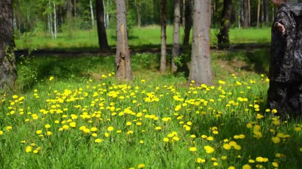 Njuter av avkoppling i sommarskogen. Flickan ligger på blomsteräng — Stockvideo