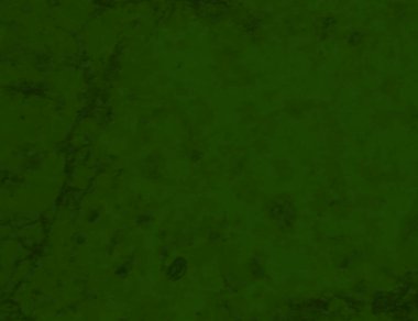 Grafik tasarımı için koyu yeşil doku arkaplanı