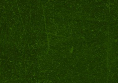 Grafik tasarımı için koyu yeşil doku arkaplanı