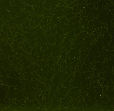 Grafik tasarımı için koyu yeşil doku arkaplanı