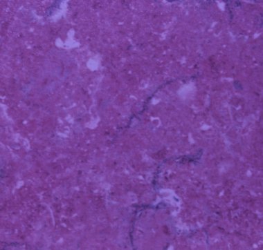 grafik tasarımı için mor menekşe arkaplan