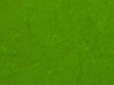 Grafik tasarımı için yeşil doku arkaplanı