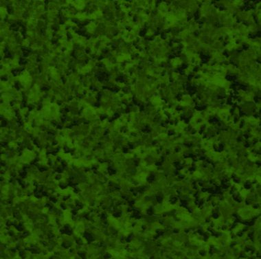 Grafik tasarımı için koyu yeşil doku arkaplanı