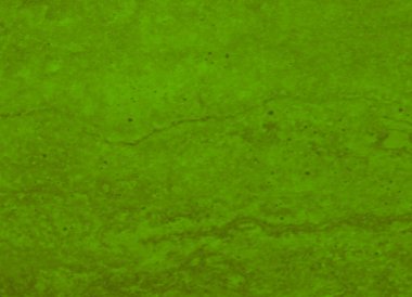 açık yeşil doku grafik tasarımı için arkaplan