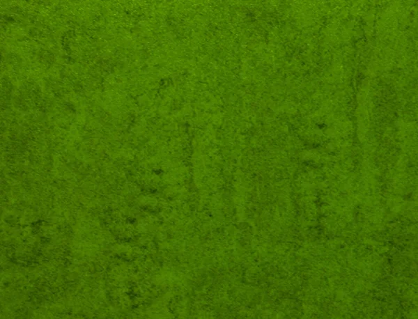 Green texture background backdrop for graphic design — Stock Photo, Image