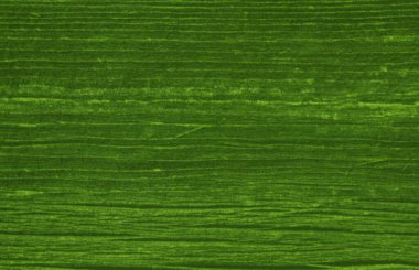 açık yeşil doku grafik tasarımı için arkaplan