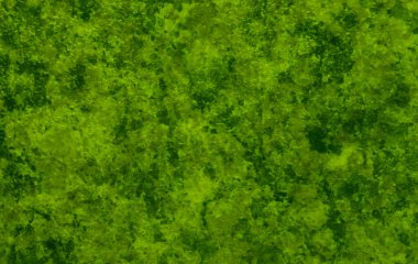 Grafik tasarımı için yeşil doku arkaplanı