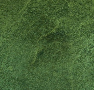 Grafik tasarımı için yeşil doku arkaplanı