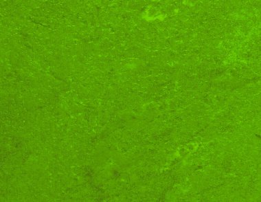 açık yeşil doku grafik tasarımı için arkaplan