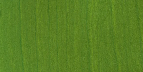 Licht groene textuur achtergrond achtergrond voor grafisch ontwerp — Stockfoto