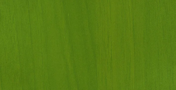 浅绿色纹理背景，用于平面设计 — 图库照片