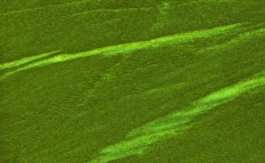 Grafik tasarımı için yeşil doku arkaplanı