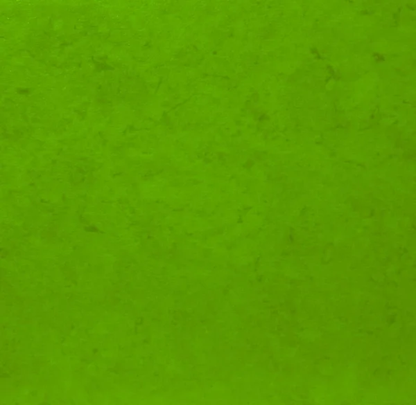 Light green texture background backdrop for graphic design — Stock Photo, Image