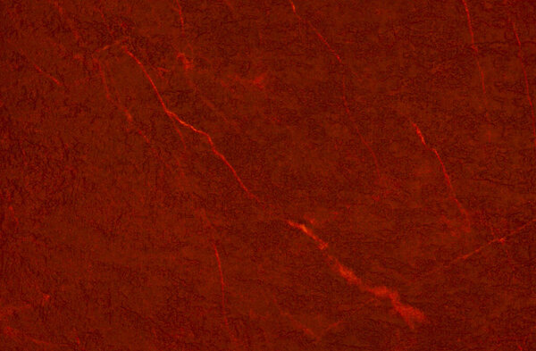 красный фон для графического дизайна
