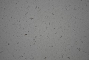 Grafik tasarımı için gri arkaplan dokusu