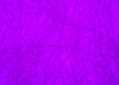 GRAPHIC DESİGN MAUVE BÖLGESİ