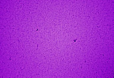 Grafik tasarımı için mor arkaplan dokusu