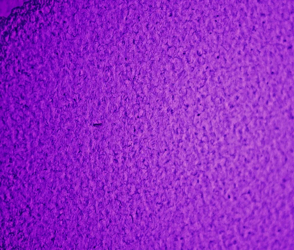 Texture viola malva sfondo per il disegno grafico — Foto Stock